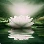 Enlightenment (Main Title Theme) [from 