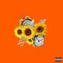 Late Bloomer EP