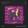 Merindu (Remix)