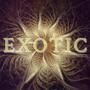 Exotic (feat. Jslide2raww) [Explicit]