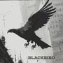 Blackbird