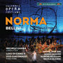 BELLINI, V.: Norma [Opera] (Pelizzari, Ulivieri, Siri, S. Ganassi, R. Lo Greco, Pierattelli, Marchig