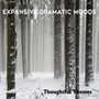 Thoughtful Themes: Expansive Dramatic Moods