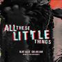 All These Little Things (Explicit)