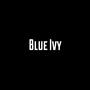 Blue Ivy (feat. MbgPhun) [Explicit]