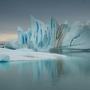 Ice Bloom
