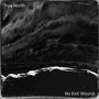 No Exit Wound