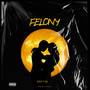 Felony (Explicit)