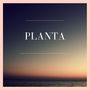 Planta