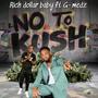 NO TO KUSH (feat. Gmedz)