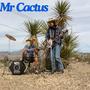 Mr Cactus