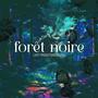 Forêt noire (Just Productions. Remix)