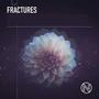 Fractures