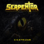 Cicatrizar