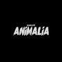 Animalia (Explicit)