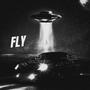 FLY (Explicit)