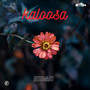 Kaloosa