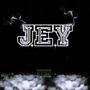JUST ENJOY YOU (Explicit)