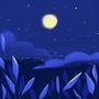Night Skies