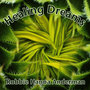 Healing Dreams