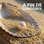 A fin de conocerte