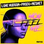 YOU FEEL ME (feat. Luke Hudson & Dj Pascu) [Radio Edit]