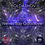 Never Say Goodbye (Firebizzare Mix)