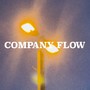 Company Flow (Explicit)