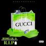 RIP (Explicit)