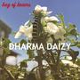 Dharma Daizy (Explicit)