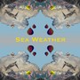 Sea Weather