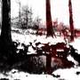 Blood In The Snow