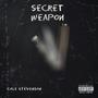 Secret Weapon (feat. Adam K)