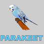 Parakeet (Bird Chirp)