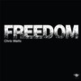 Freedom (feat. Jamal Steele, Stykz, Mat Troupe & 2AM)