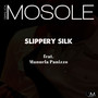 Slippery Silk (feat. Manuela Panizzo)