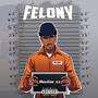 Felony (Explicit)