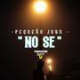 No Se (feat. Truenos Music Prod.)