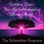 The Relaxation Response - Probleme Lösen New Age Gehirnjogging Übungen Musik für Mentale Stärke Chakren Meditation und Stressabbau