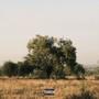 Lets Get Lost (feat. JP Beats) [Explicit]