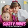 Qikat e nanes
