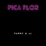 Pica Flor