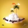 One Night Love