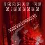 BOSQUE DE CIPRESES