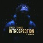 Introspection (Explicit)