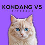 Kondang, Vol. V