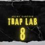 Trap Lab 8