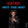 Not the Way (feat. Terence Wallen)
