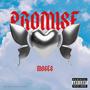 PROMISE (Explicit)