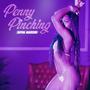 Penny Pinching (Explicit)